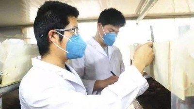 负载对草莓视频污在线免费的温湿度性能有哪些影响？